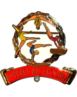 Second Place All Around Gymnastics Pin