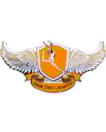 Floor State Champion Girls Gymnastics Pin - 1923 Orange & Gold