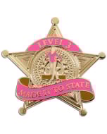 Made it to State Level 3 Gymnastics Pin - 1973