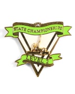 State Championship Level 2 Gymnastics Pin