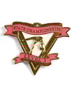 State Championship Level 3 Gymnastics Pin