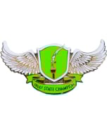 Vault State Champion Gymnastics Pin