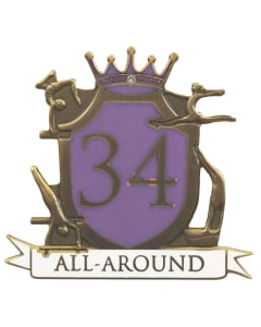 34 All Around Gymnastics Pin - 1909 - Purple