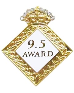 9.5 Award Gymnastics Pin - 1699