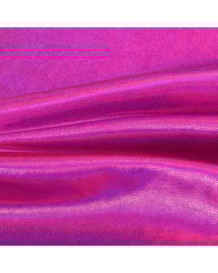 Fiery Orchid Starlet