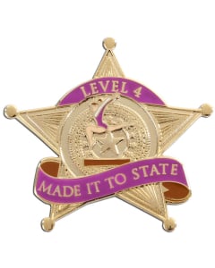 Made it to State Level 4 Girls Gymnastics Pin - 1974 Purple & Gold