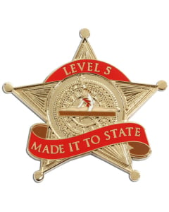 Level 5 Made it to State Gymnastics Pin - Gold & Red