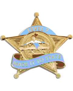 Level 7 Made it to State Pin