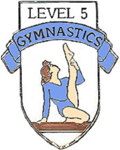 Level 5 Gymnastics Pin - 1105