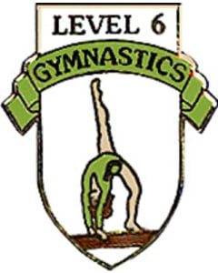 Level 6 Gymnastics Pin - 1106