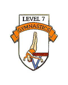 Level 7 Gymnastics Pin