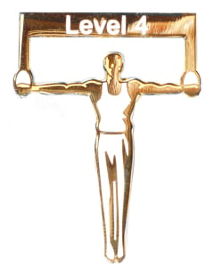 Men's Level 4 Gymnastics Pin - 1114