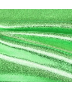 Mystique Fabric Swatch | Lime/Mint