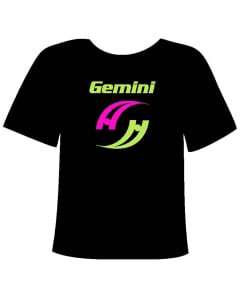 Gemini Gymnastics T-Shirt
