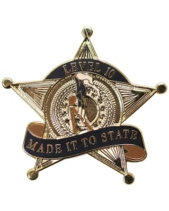 Made it to State Level 10 Gymnastics Pin - 1980