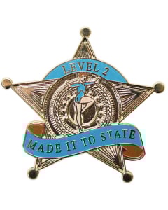 Made it to State Level 2 Gymnastics Pin - 1972