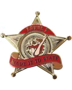 Made it to State Level 9 Gymnastics Pin - 1979