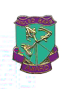 Nailed Bars Gymnastics Pin - Green/Purple
