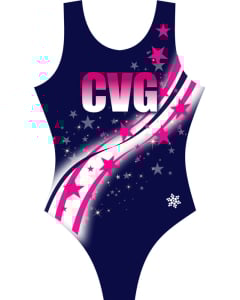 Central Virginia Gymnastics Stars Tank Leotard - Front - Navy
