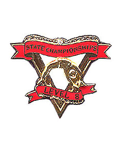 State Championship Level 8 Gymnastics Pin