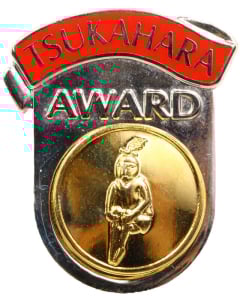 Tsukahara Gymnastics Pin