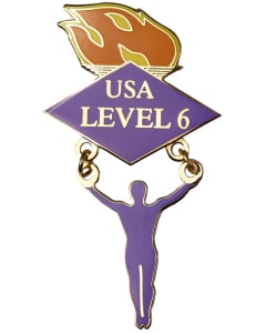 Men's Level 6 Gymnastics Pin - 1536