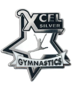 Xcel Silver Pin