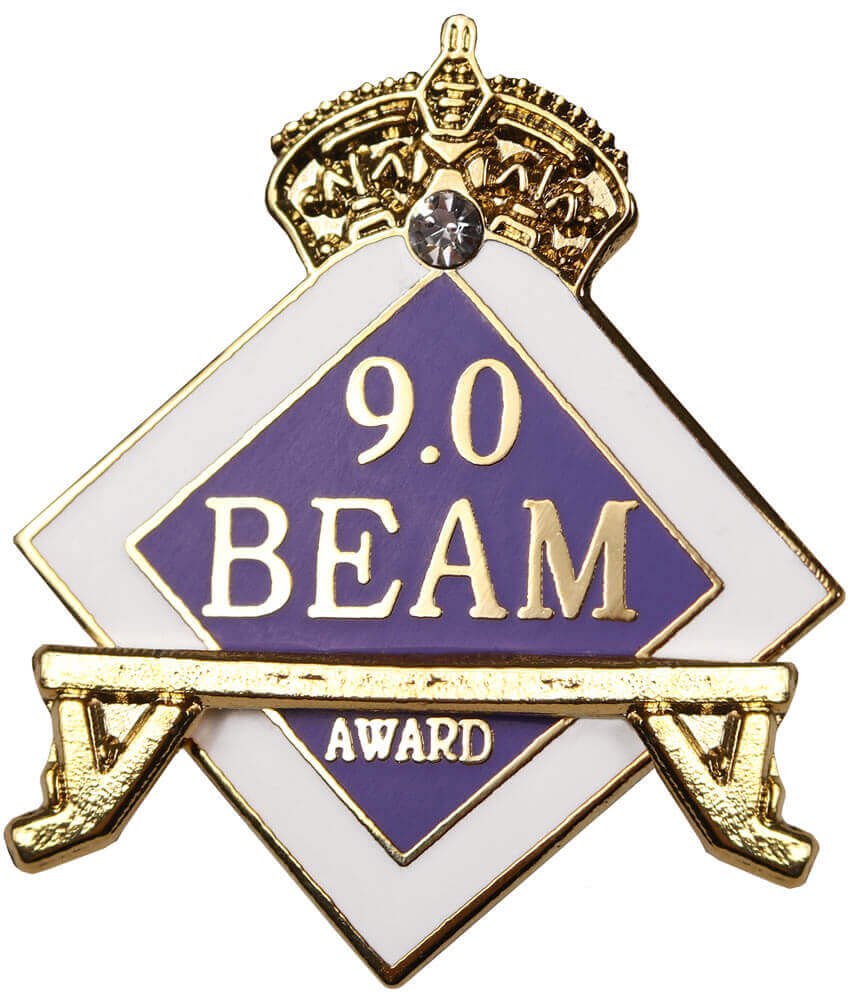 9.0 Vault Award Pin.